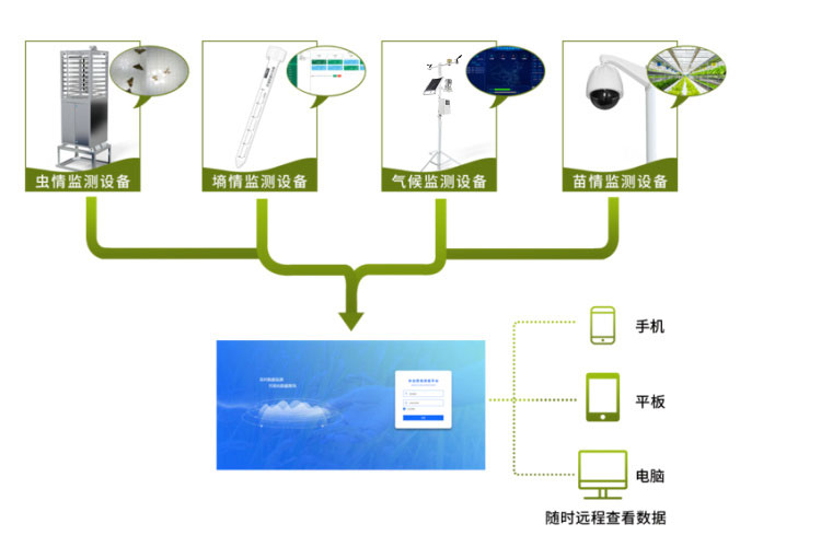 农业物联网四情监测系统